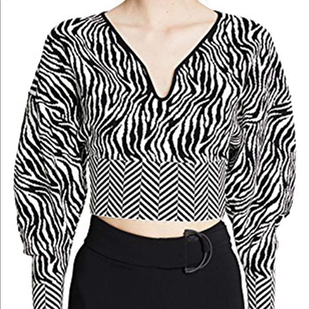 NWOT Zebra Sweater